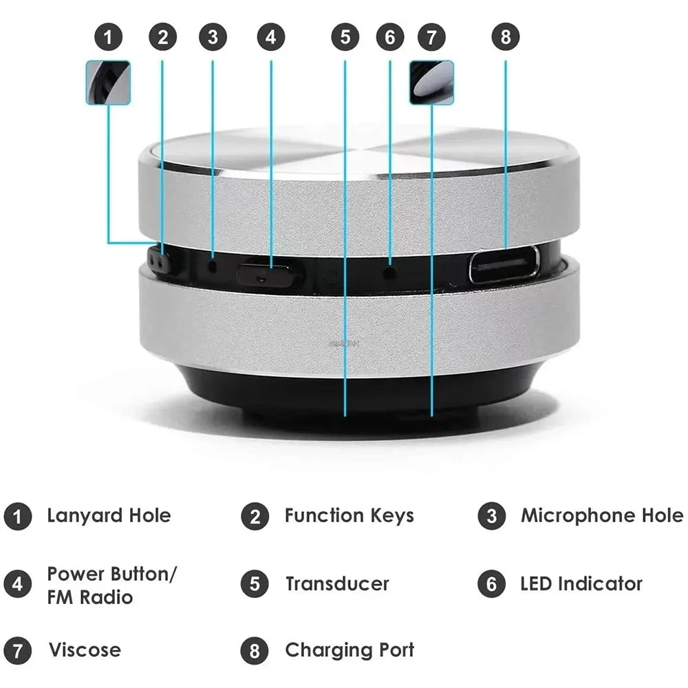 2025 heißer Knochenleitungslautsprecher Bluetooth-Kompatibel TWS Wireless Stereo Sound Hummingbird Lautsprecher Mit FM Radio Dropshipping